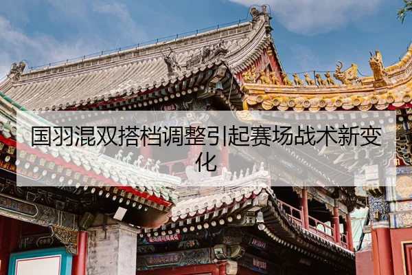 国羽混双搭档调整引起赛场战术新变化
